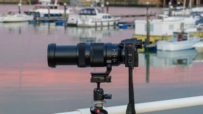 Panasonic's new 100-500mm is a five-star ultra-telephoto zoom that fills a key gap in its lens range