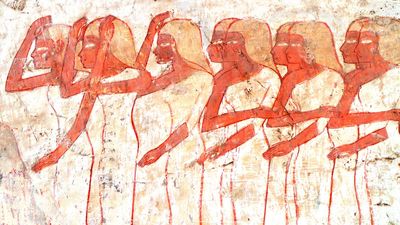 'The papyrus also recommends putting a clove of garlic in your vagina before bed': The texts that reveal the baffling healthcare for women in ancient Egypt