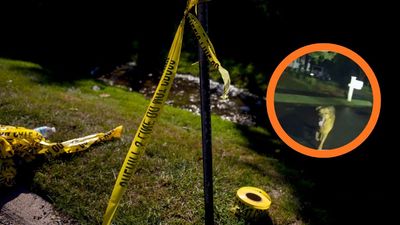 ‘He wouldn’t leave’: Florida deputy decides to trust a good dog, and it saves a grandmother’s life