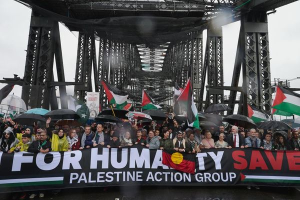 Sydney Opera House pro-Palestine march has ‘disaster written all over it’, senior NSW police officer tells court