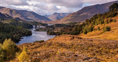Scottish Government urged to prevent super rich from 'hoarding' Scotland's land