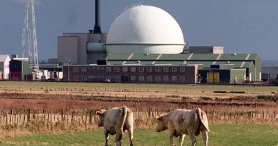 Radioactive water from Dounreay nuclear site leaked in major breach