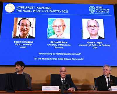 Nobel prize in chemistry awarded to scientists for work on ‘Hermione’s handbag’