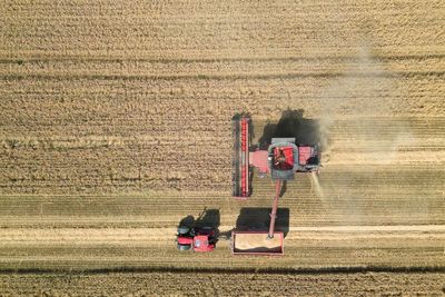 Year’s worth of British bread lost since 2020 amid extreme weather – analysis