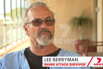 Man attacked by shark at tourist spot drove himself to hospital despite being bitten three times