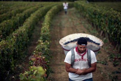 The EU offers new protections for farmers as it seeks to build support for Mercosur trade deal