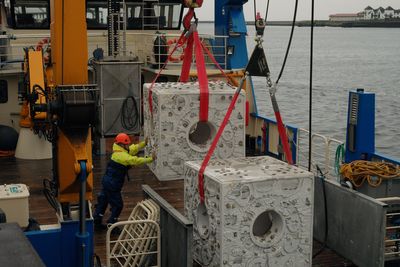 Why 20 huge concrete-like cubes have been released in the North Sea