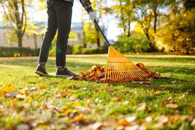 12 Garden Chores You Can’t Skip in November