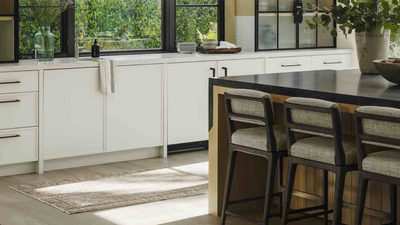 This Discreet 'Plinth' Vacuum Is the Low-Effort Addition to Your Kitchen That'll Help Keep Floors Clear and Uncluttered Between Deep Cleans