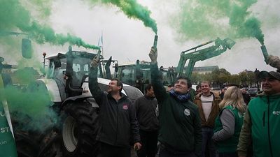 European Parliament lawmakers vote against the Mercosur deal