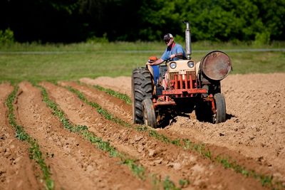 Farmers Left Anxious As Trump Weighs $10 Billion Bailout Amid Tariff Turmoil