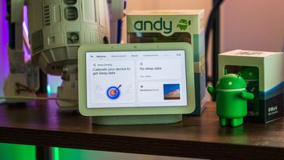 Nest Hub's future isn't dead yet, says Google's head of Home