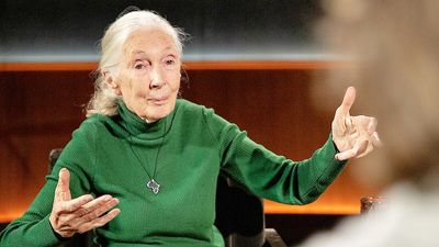 Conservationist Dr. Jane Goodall saved Chimps all her life, but her last wish was to send Trump and his buddies off the planet