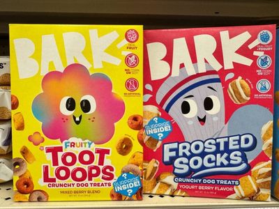 BARK CEO Shifts Focus From Institutional to 'Sophisticated Retail Investors' On X And Discord, Saying They Drive 'Performance Of A Stock Much More'