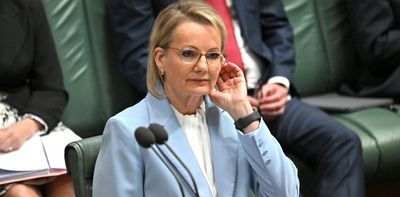 Competence and vision: how to be a successful opposition