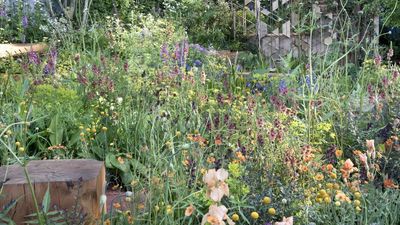 This multi-change tool transformed my gardening game – you can have all the kit you need without a big shed
