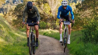 Happy Birthday, Ornot! The 'little guy' turns 12 and celebrates with 20% off sitewide — but only for today!