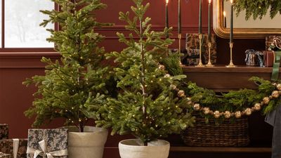 I grew up dreaming of Hallmark-style Christmas trees, then I moved to NYC – but Shea McGee’s $268 petite potted spruce just brought the fantasy back