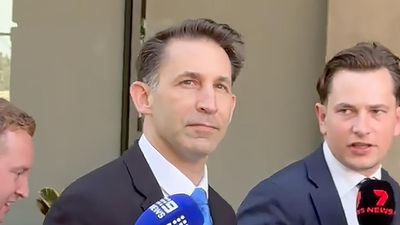 Former pilot to face trial over wife's lawnmower murder