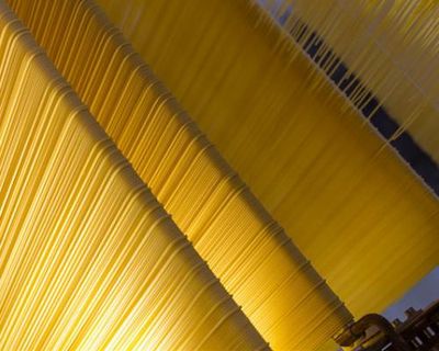 ‘A fatal blow’: Italian producers fear effects of Trump’s ‘war against pasta’