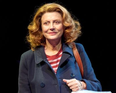 Mary Page Marlowe review – Susan Sarandon shines in slippery study of a life in pieces