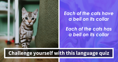 This Language Quiz Will Challenge How Well You Can Spot Spelling And Grammar Mistakes
