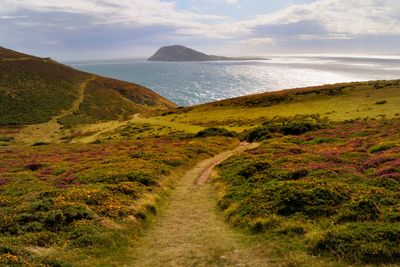 Tiny Welsh island with more sheep than people and no wifi needs new tenants