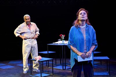 Mary Page Marlowe at the Old Vic: 'Susan Sarandon makes impactful London stage debut'