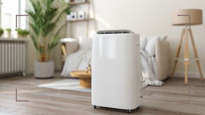 5 places you should never put a dehumidifier in your home, warn experts