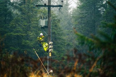 Power restored to all homes almost a week after Storm Amy swept in