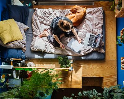 I never thought I’d say this, but I now understand the appeal of home schooling