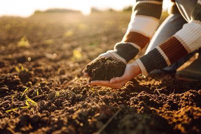 Why Covering Beds Helps Soil Microbes Thrive