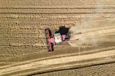 England sees second worst harvest on record, analysis shows