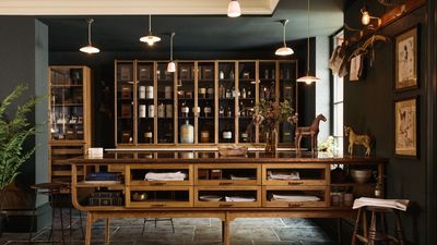 Burn lavender for the instant moth-deterrent your home needs this fall to protect pantries and closets – pest pros reveals how to ensure lasting results