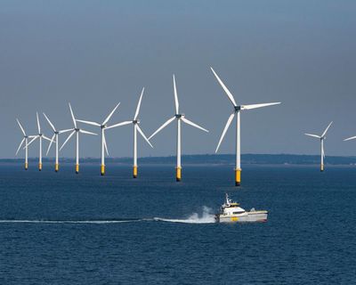One of world’s biggest windfarm developers to cut quarter of workforce