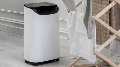 Meaco’s new dehumidifier has a special laundry mode for quick drying even when it's cold