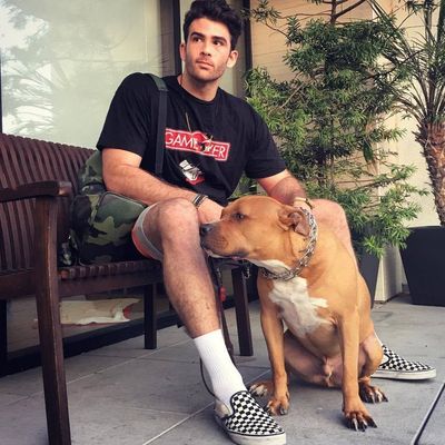 Did Hasan Piker Shock His Dog? Streamer Faces Backlash Over On-Camera Moment, Here's What Happened