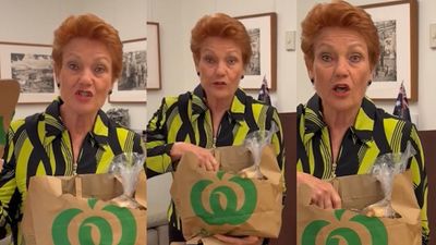 Woolies Responds After Pauline Hanson’s Bizarre Social Media Rant Over 25c Paper Bags
