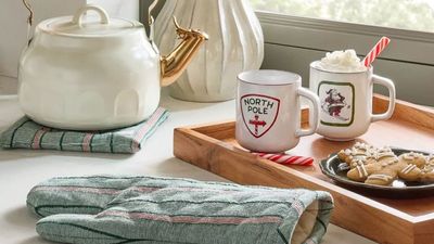 Joanna Gaines' latest Target collection is giving cabin kitsch vibes with cute retro prints, gleaming tableware, and rustic touches – it's making me want to hibernate for the season