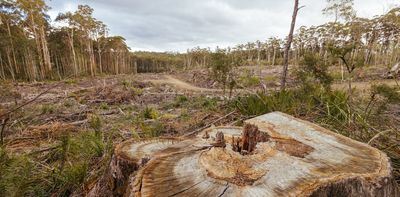 Labor is close to a deal on environmental law reforms. There are troubling signs these will fall short