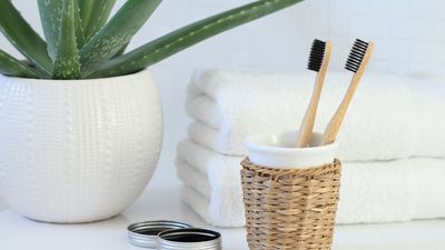 This common houseplant will help prevent bathroom mold — and it cost less than a coffee