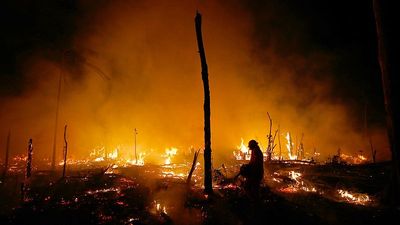 Record-breaking Amazon fires triggered as much CO₂ as an entire country last year