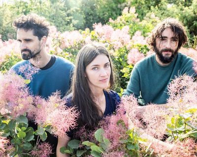 Širom: In the Wind of Night, Hard-Fallen Incantations Whisper review – a cacophonous folk kaleidoscope