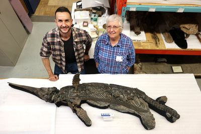 New species of ‘sword dragon’ reptile named after fossil discovered in UK