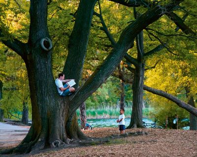 ‘Visual medicine’: Jamel Shabazz’s evocative photos of Brooklyn’s Prospect Park