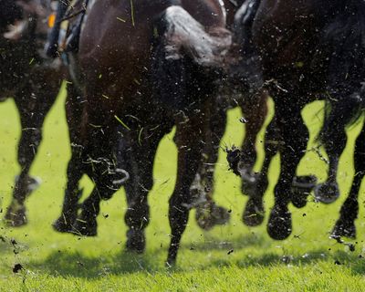 Aidan O’Brien closes on Group One record as Precise makes it 22 in 2025