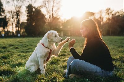 ‘Ball junkie’ dogs can be addicted to their toys, scientists suggest