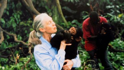 ‘He’d be the host’: The Late Jane Goodall wished to blast Elon Musk and Trump into space