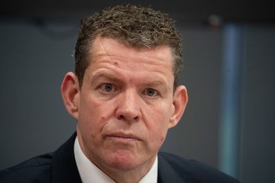 Vote Plaid to stop Reform, says party leader