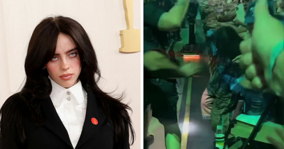 “That’s Disgusting”: Fans Outraged After Man Tries To Snatch Billie Eilish At Miami Concert